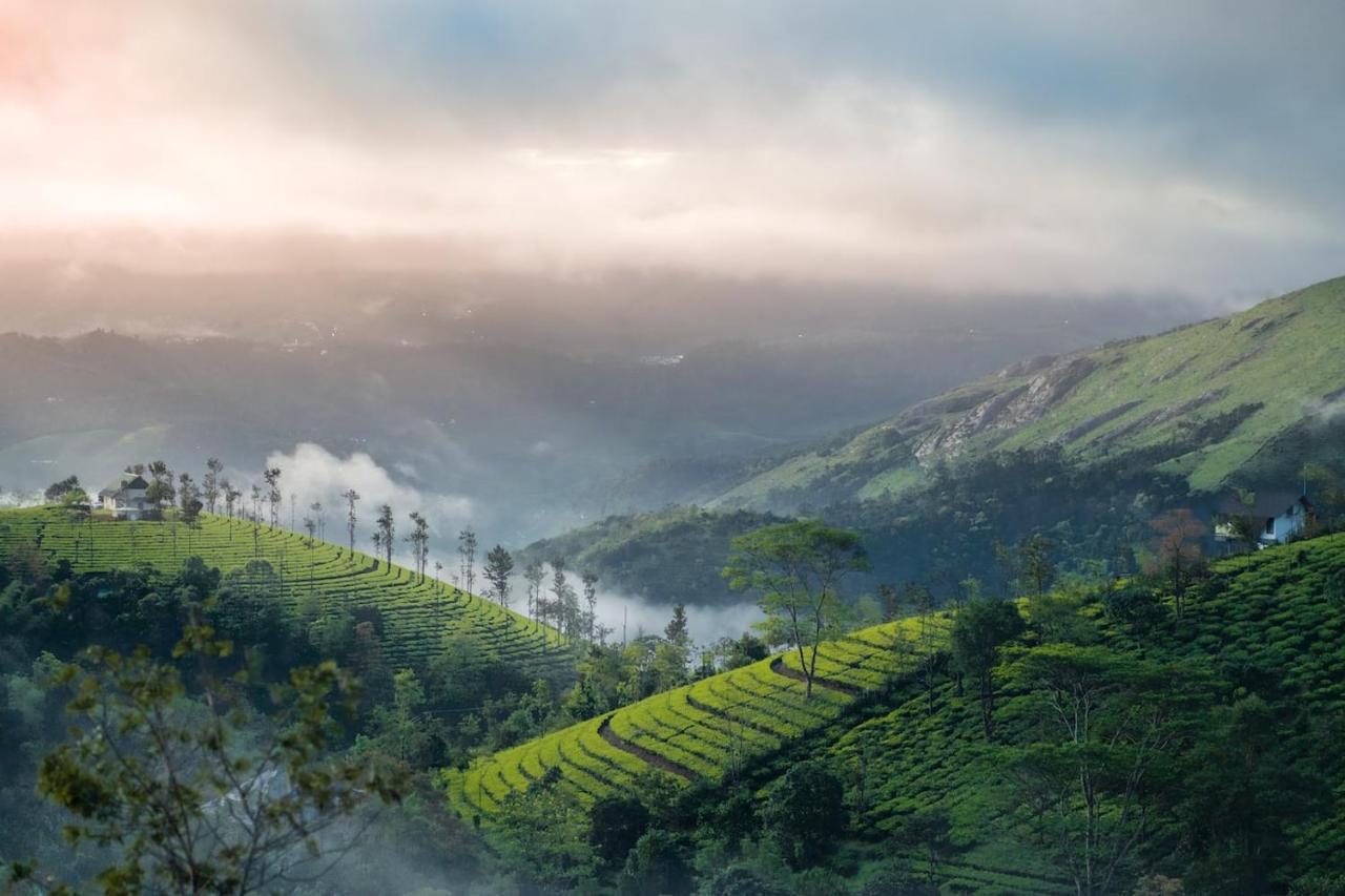 Vaga Mist Resort Vagamon Idukki Ngoại thất bức ảnh