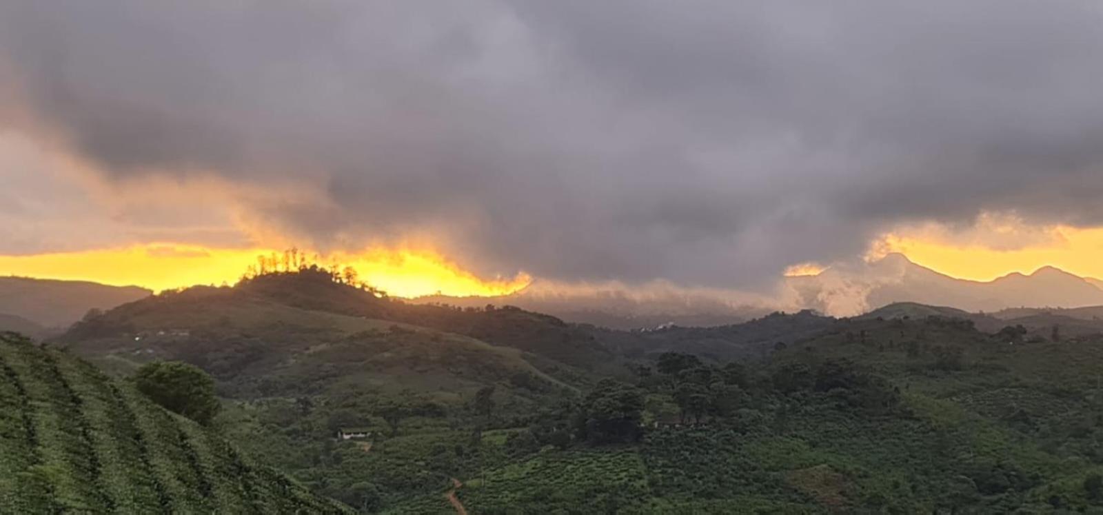 Vaga Mist Resort Vagamon Idukki Ngoại thất bức ảnh